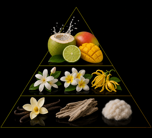 Fragrance pyramid