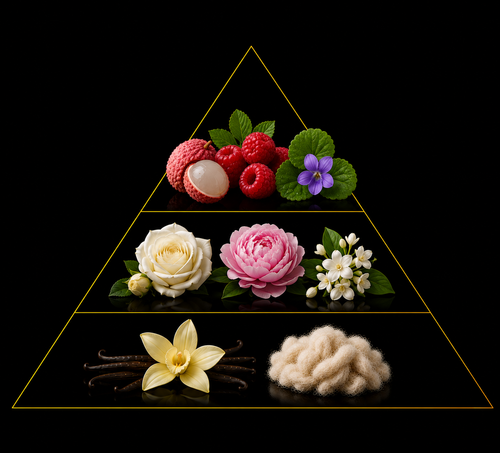 Fragrance pyramid