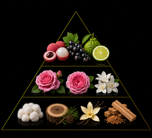 Fragrance pyramid