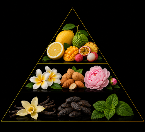 Fragrance pyramid