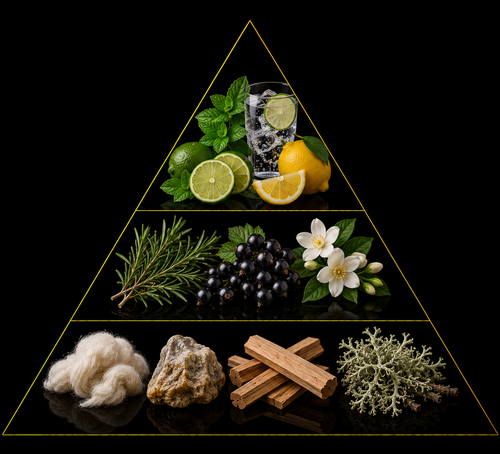 Fragrance pyramid