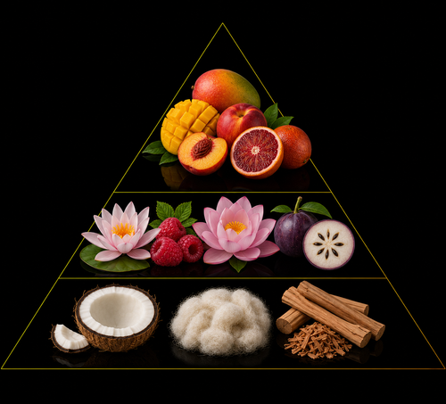 Fragrance pyramid
