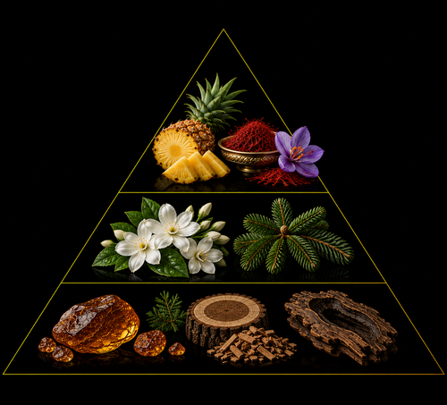 Fragrance pyramid