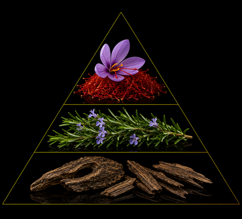 Fragrance pyramid