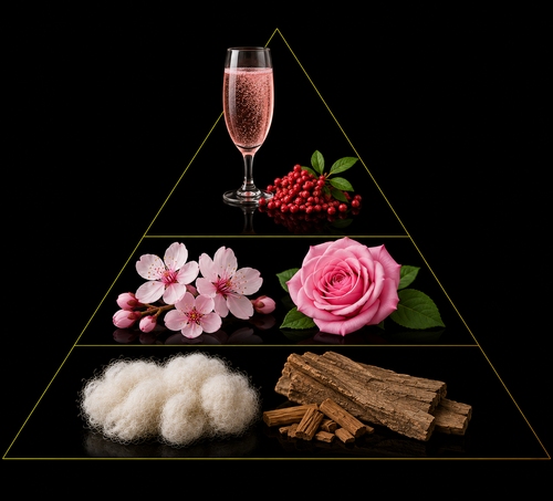 Fragrance pyramid